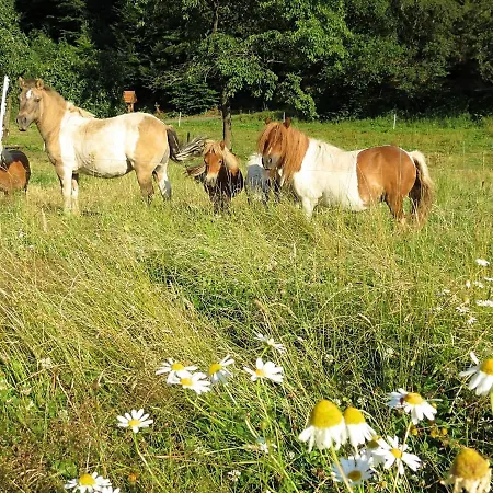 Appartamento Charmante Mit Garten In Hueddingen