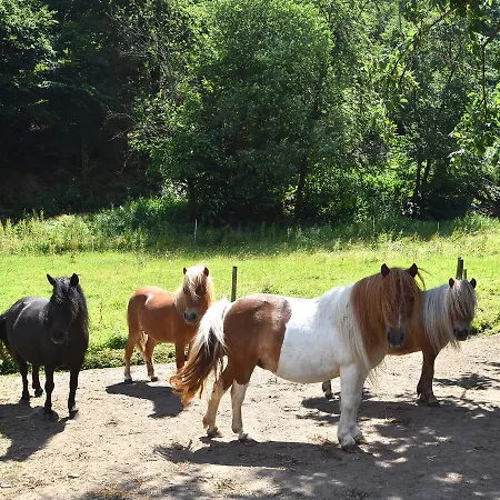 아파트 Charmante Mit Garten In Hueddingen