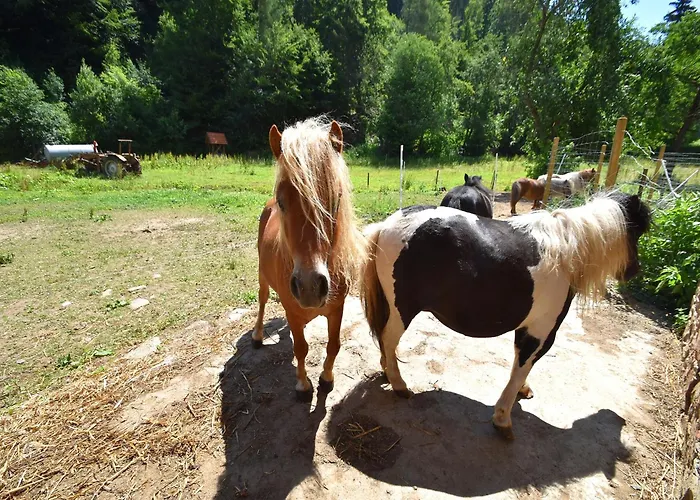 Charmante Mit Garten In Hueddingen شقة *