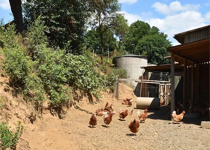 Charmante Mit Garten In Hueddingen باد ويلدنغن