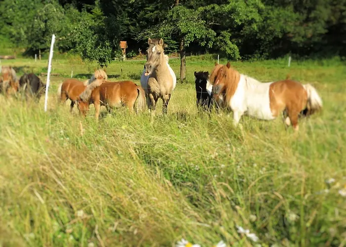 Charmante Mit Garten In Hueddingen شقة *