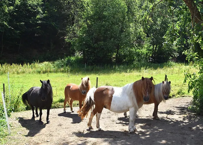 شقة Charmante Mit Garten In Hueddingen